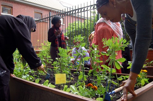 jardinage