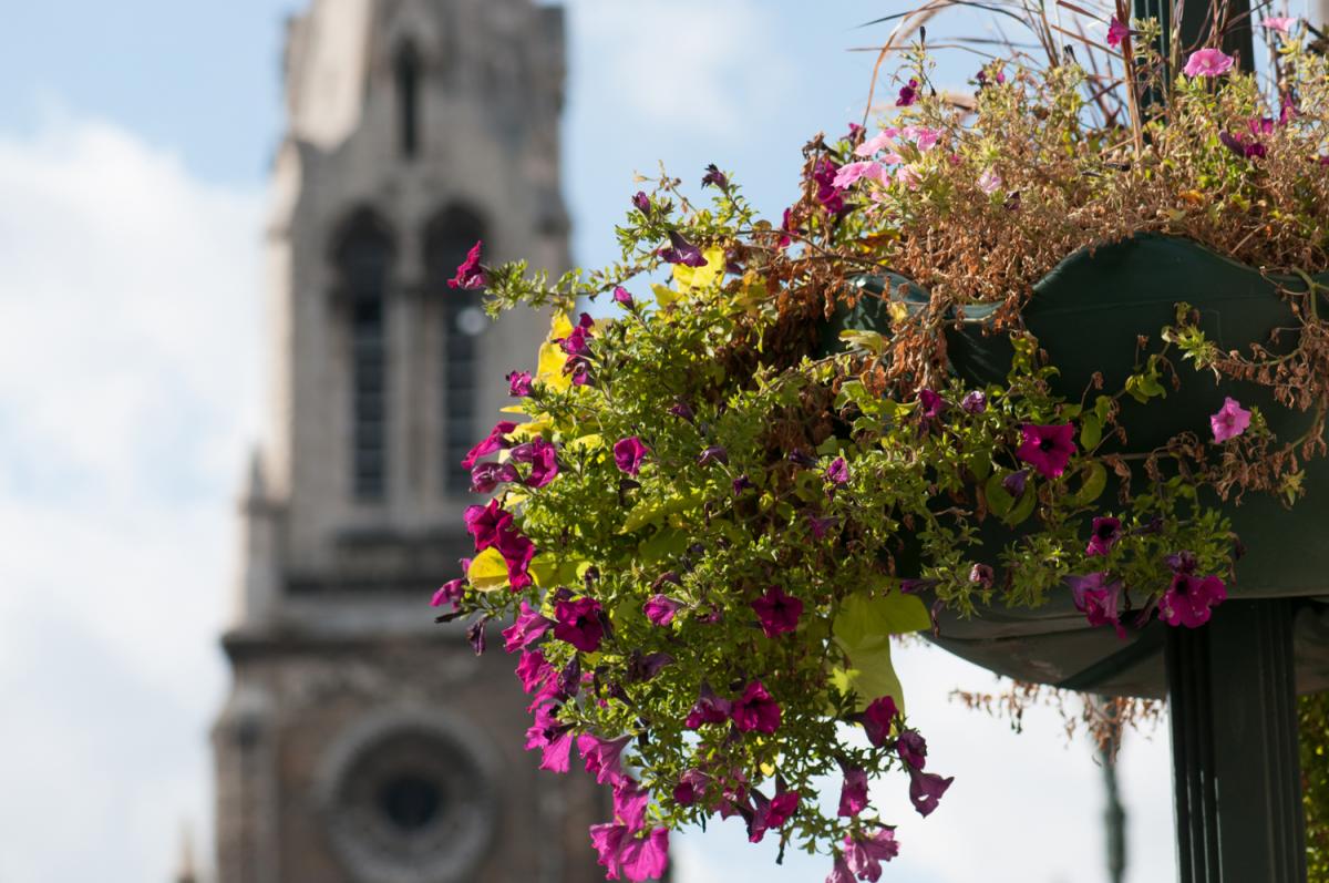 décoration florale