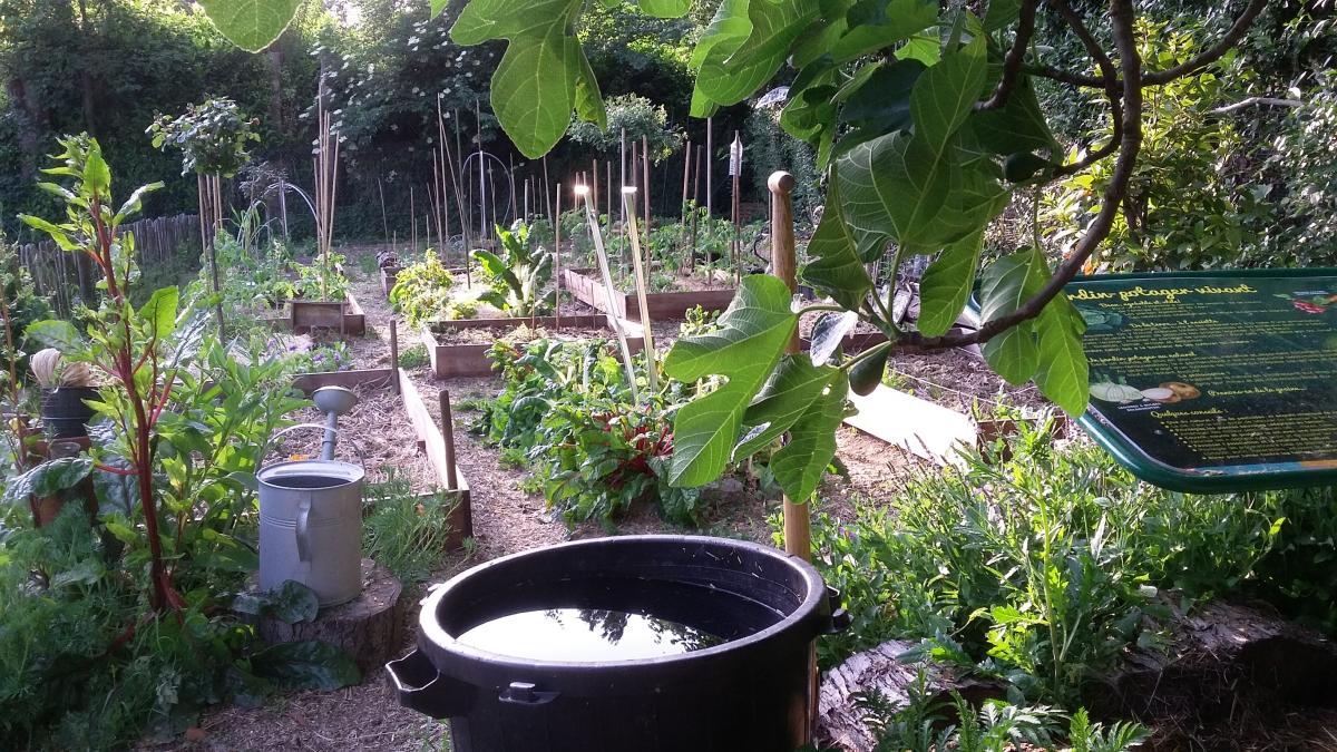 jardin Josaphat